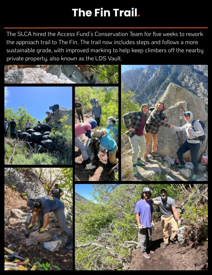 20251201 FINAL End of year stewardship and advo (6).jpg