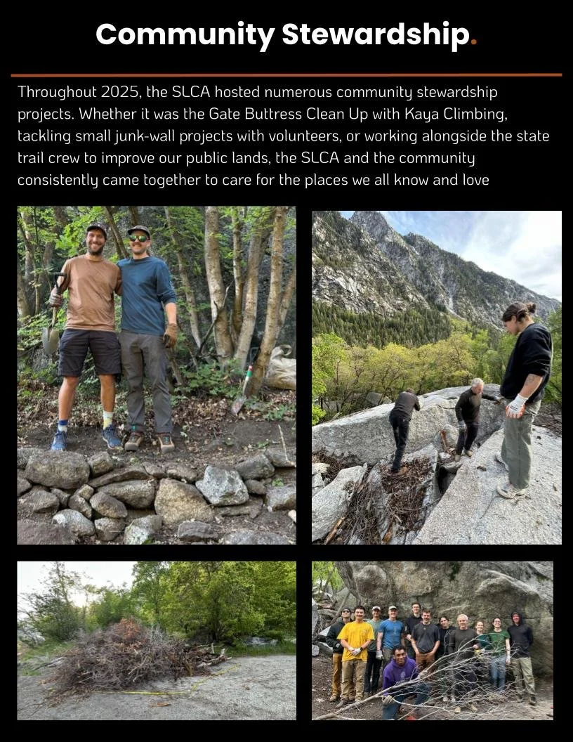 20251201 FINAL End of year stewardship and advo (10).jpg