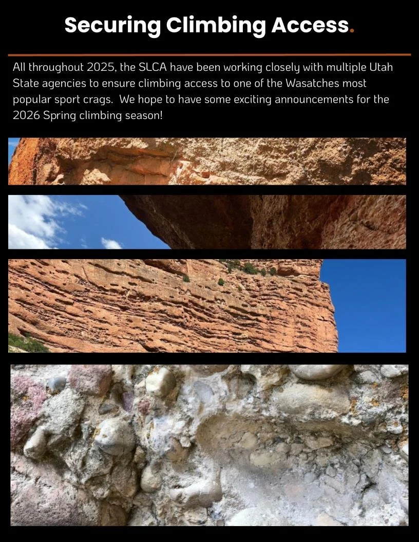 20251201 FINAL End of year stewardship and advo (11).jpg