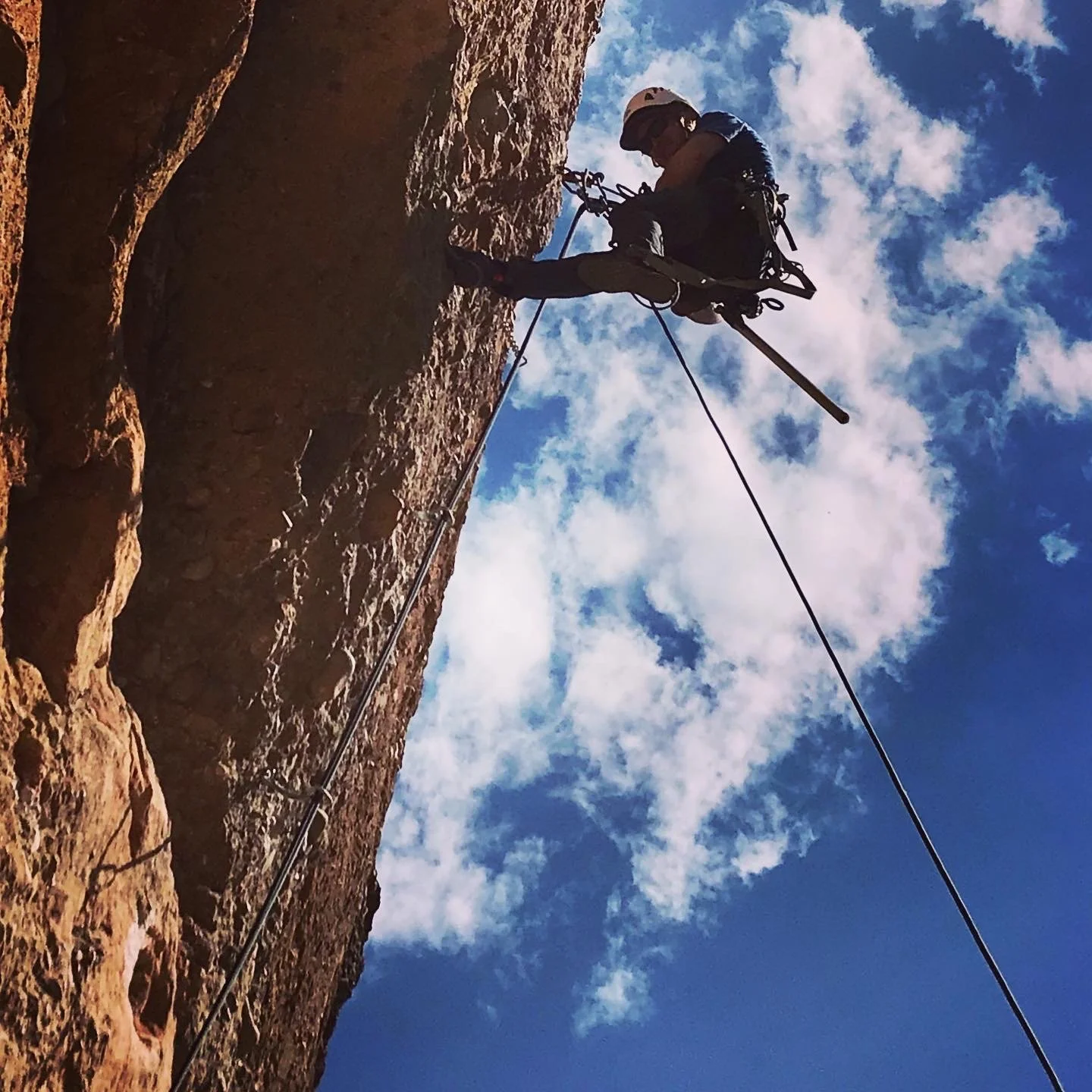 Seasonal Closure at Henefer-Echo WMA: Protecting Critical Winter Range