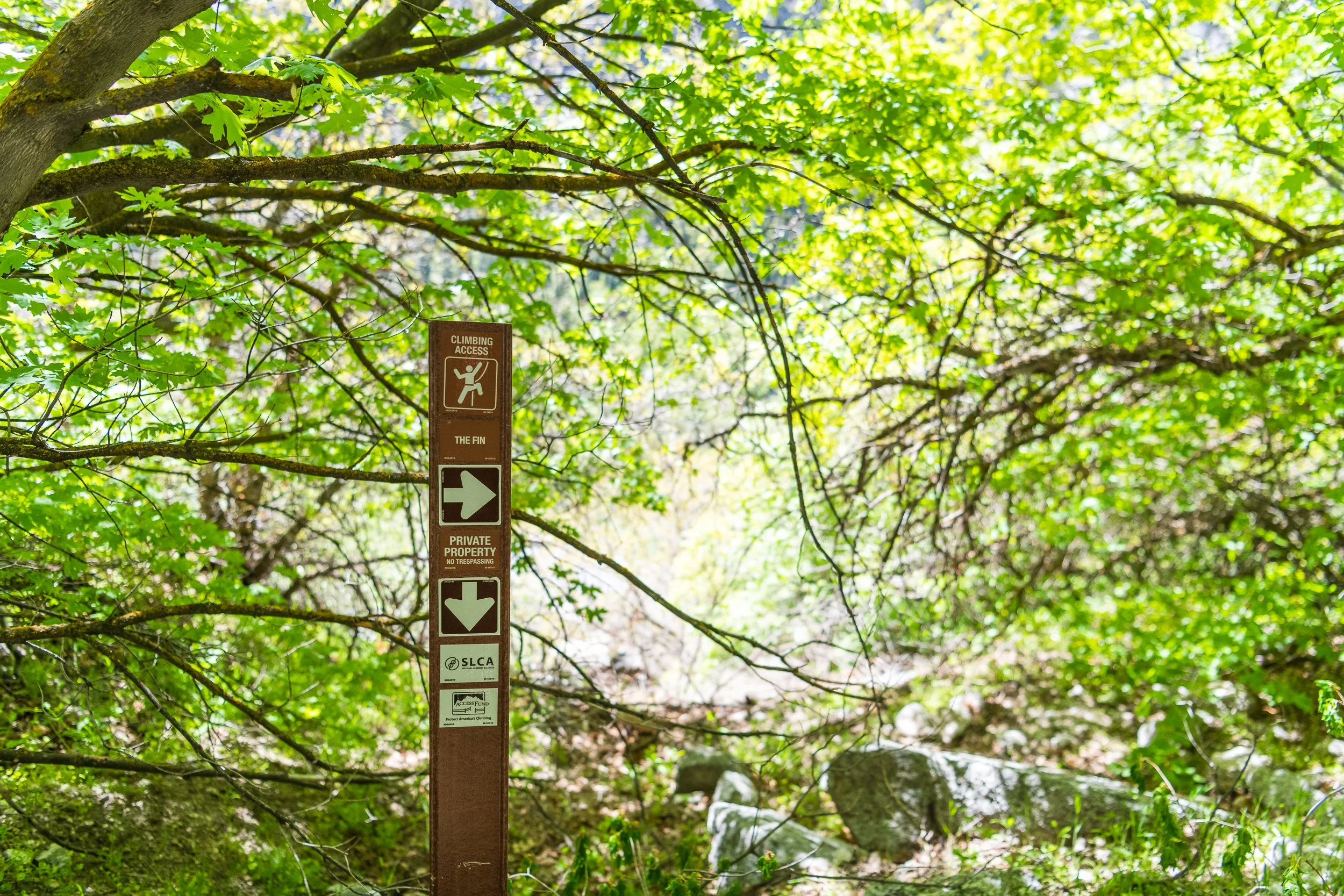 Volunteer: Fin Trail, LCC