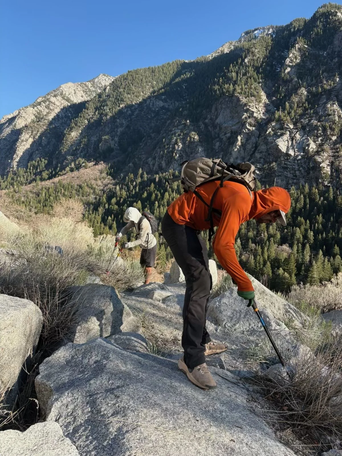 Volunteer: Recap of Gate Buttress Stewardship, LCC