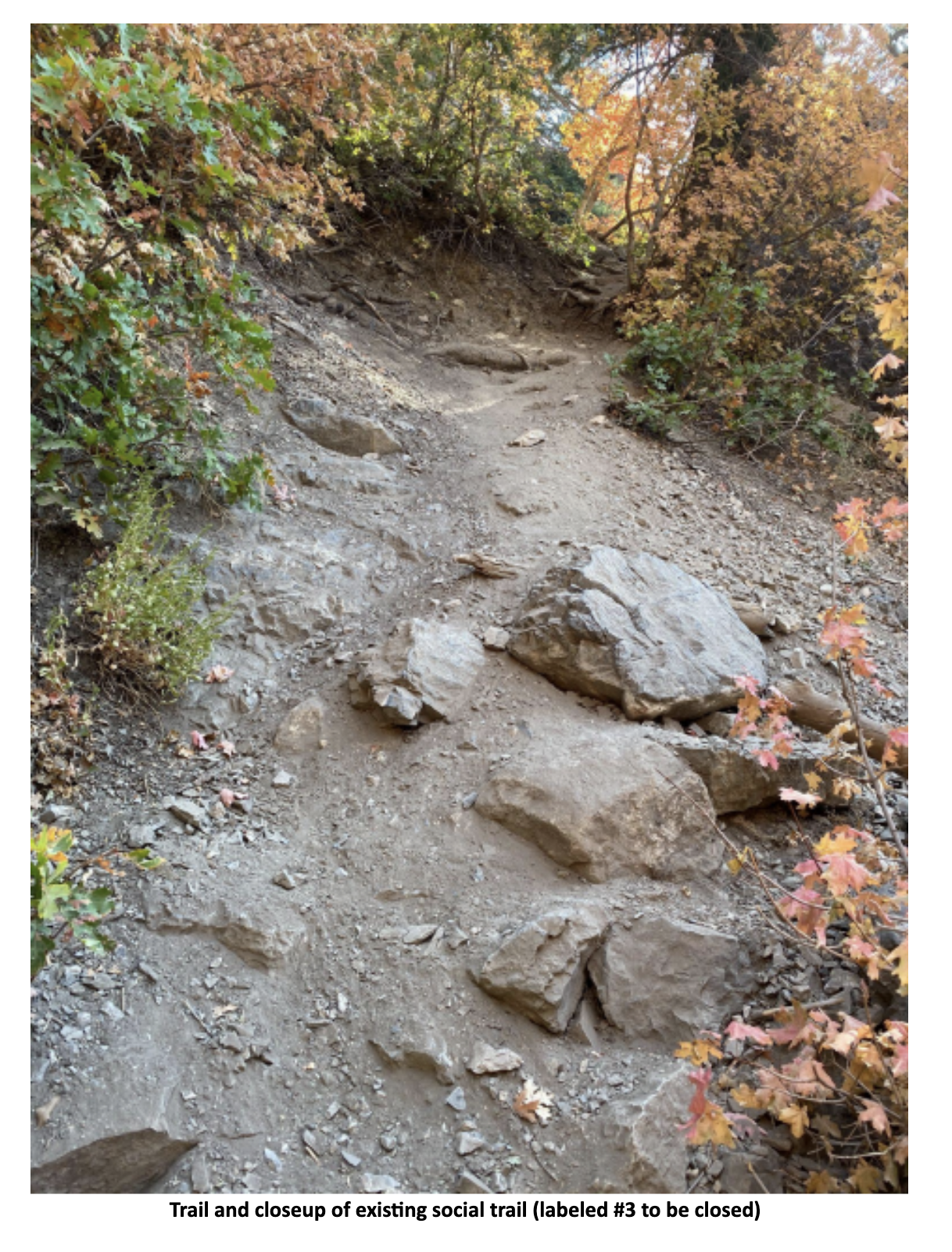 Photo_ Hard Rock Trail Social Trail to be Closed.png