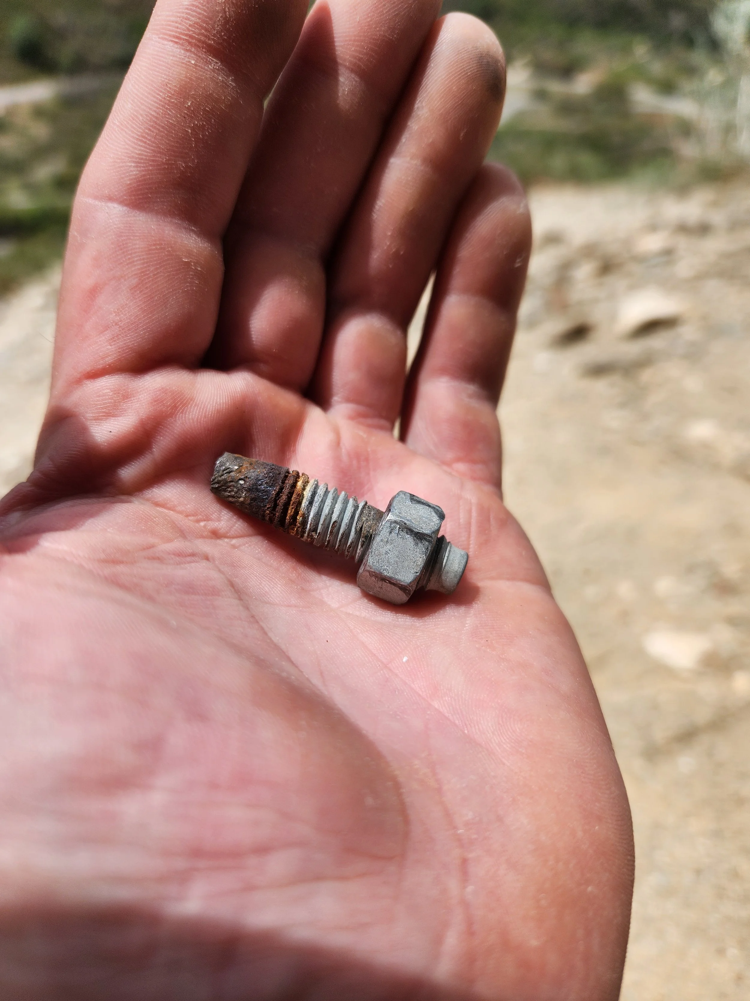 Rainbird Lead bolt.jpg