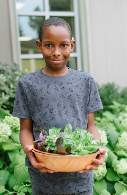 Shamel with basil