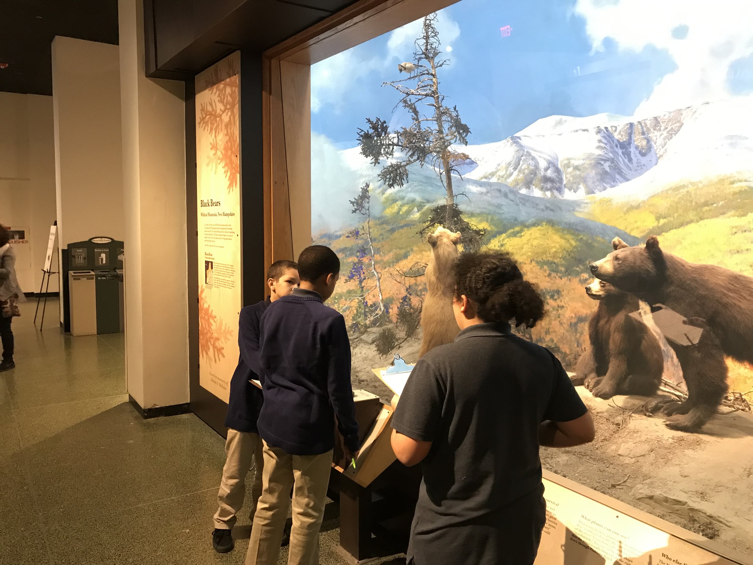 Steven, Blake and Genaro admiring the bear exhibit