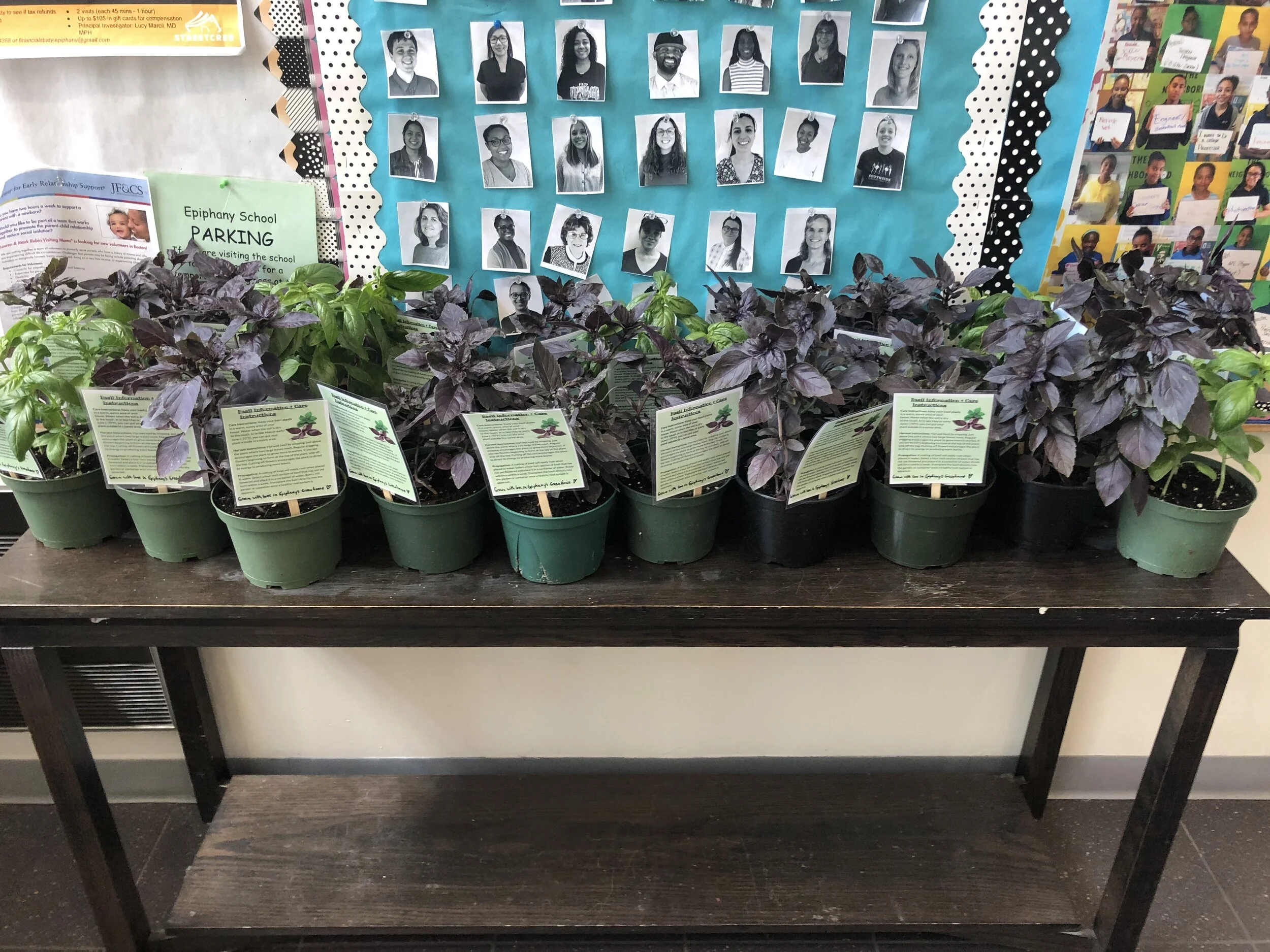 Always Learning Newsletter - May 2020  