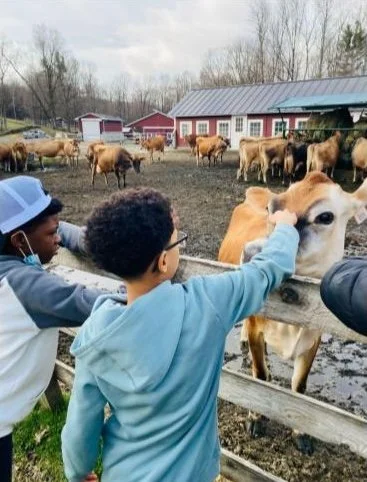 Children & Cows 2nd Choice.jpg
