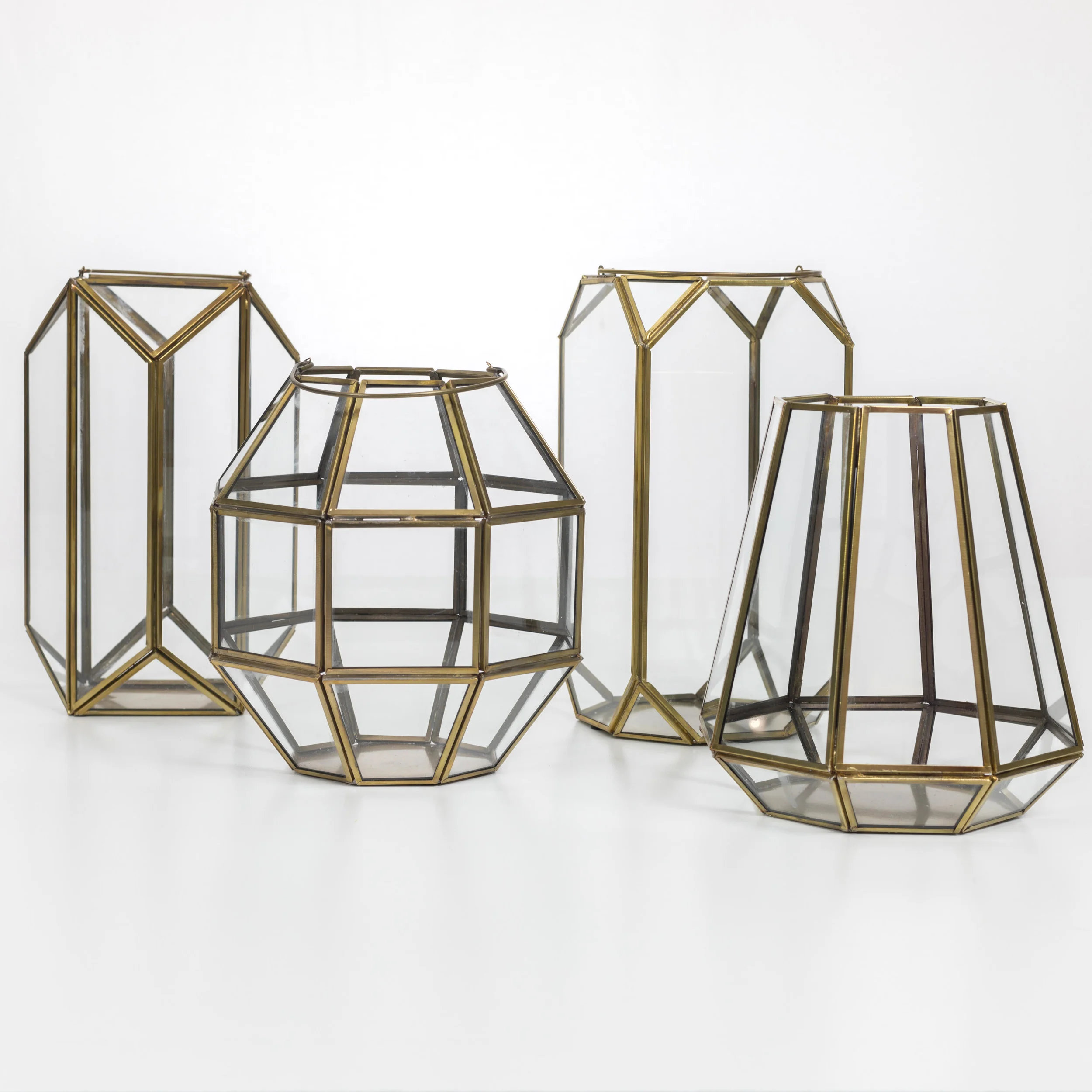 Gold terrarium Collection