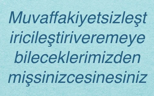 What IS That? A Really Long Turkish Word