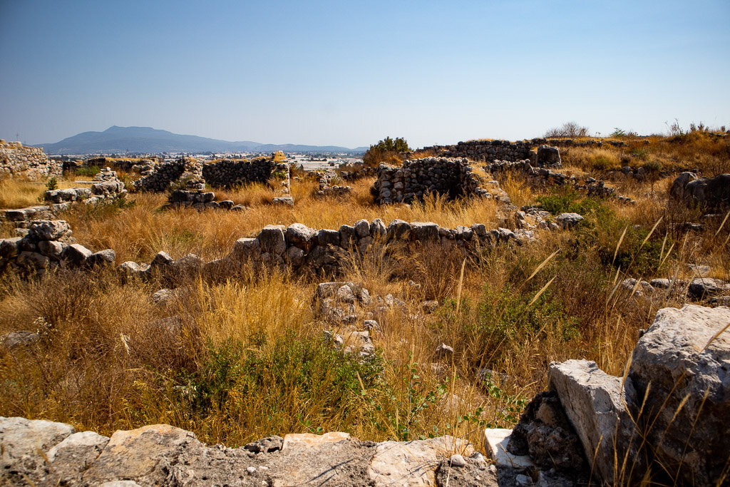 W2E_20200720_TKY_Xanthos_78.jpg