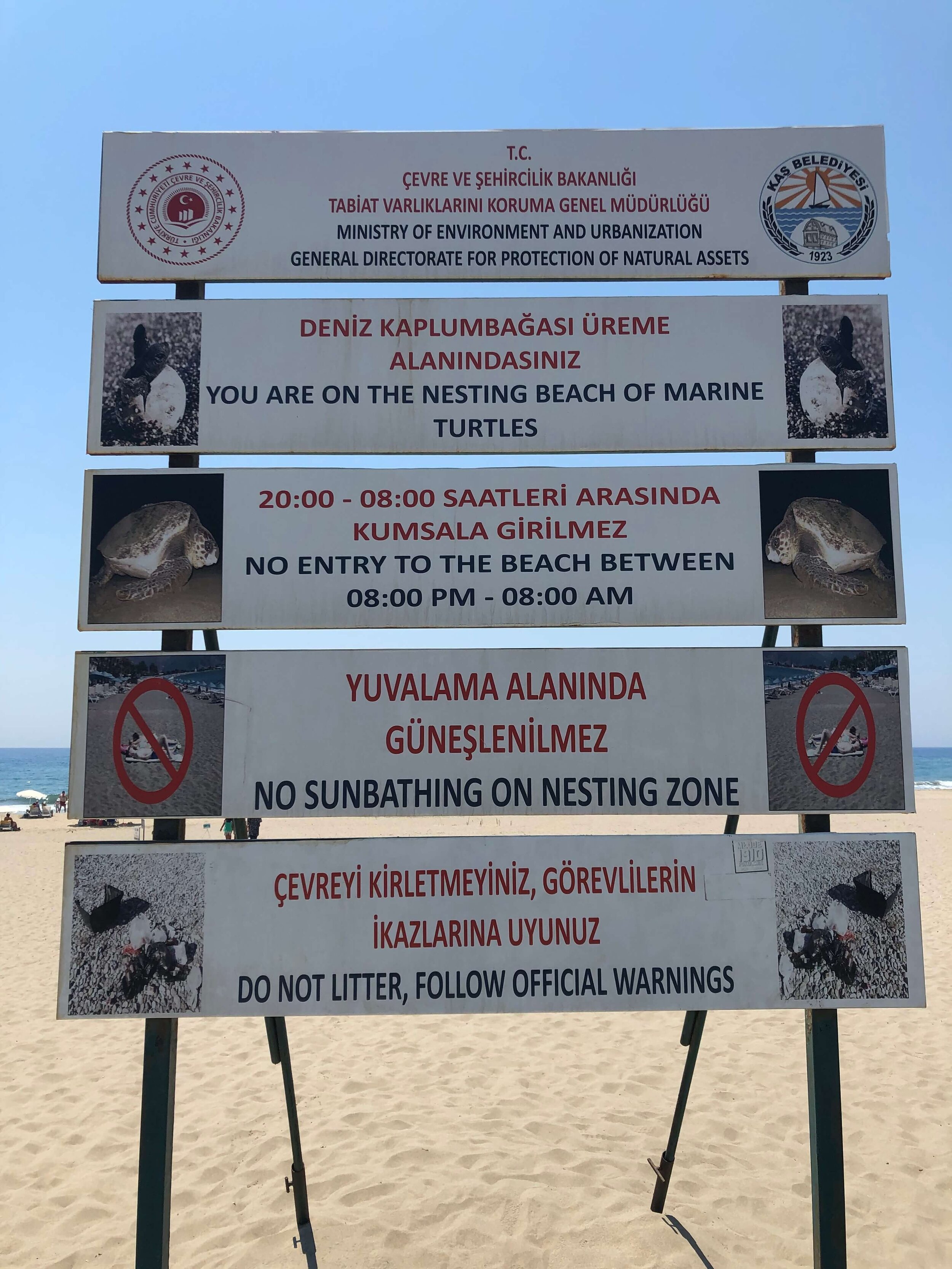 Sea Turtle Warnings.jpg