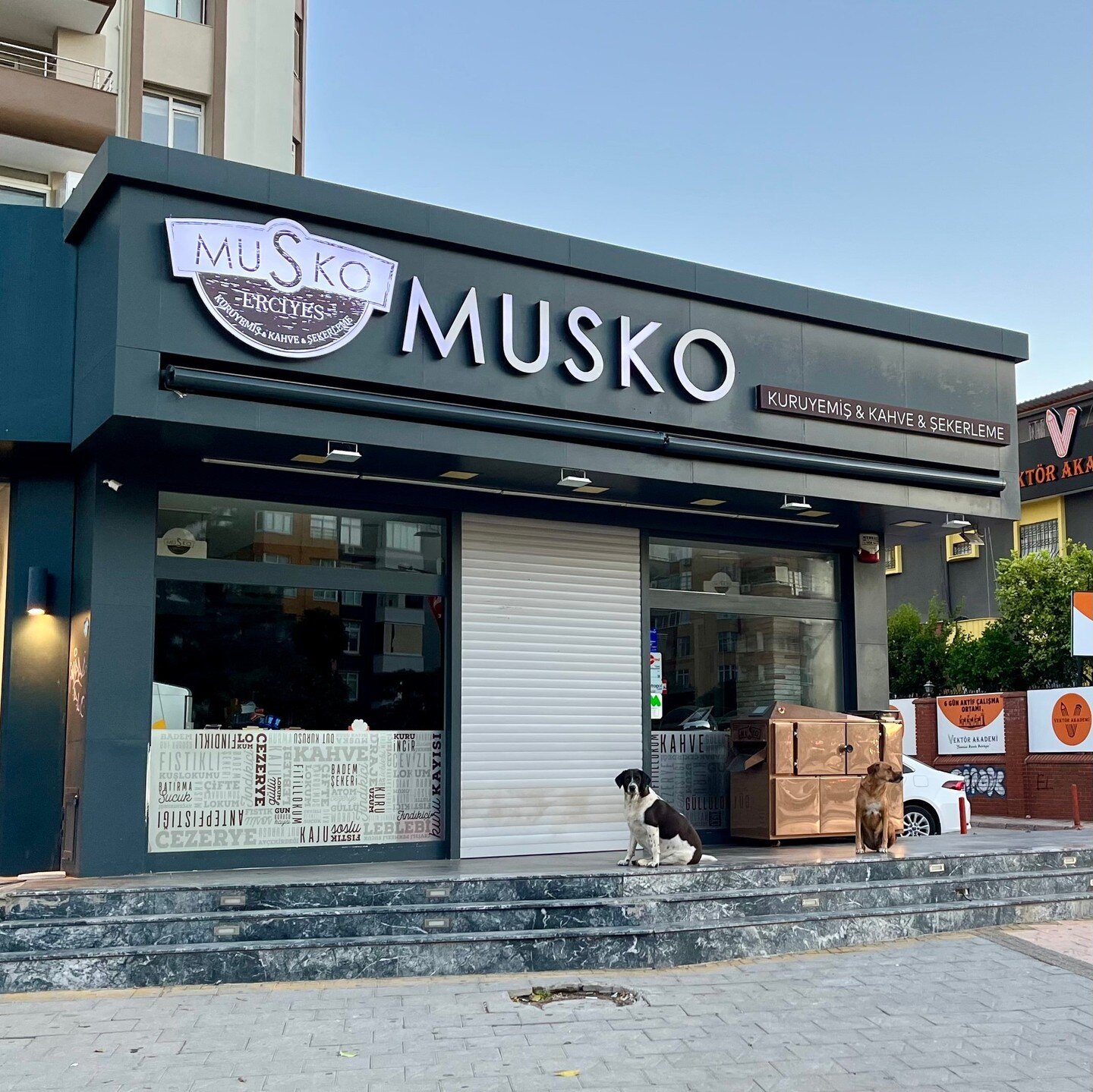 Sıra var Musko'da! / There is a line at Musko! 🐶⁠
⁠
These cute dogs were sitting outside one of my favorite shops to buy fresh nuts, dried fruit, coffee, Turkish delight, and so much more.  You can read more about these kinds of stores at the link i