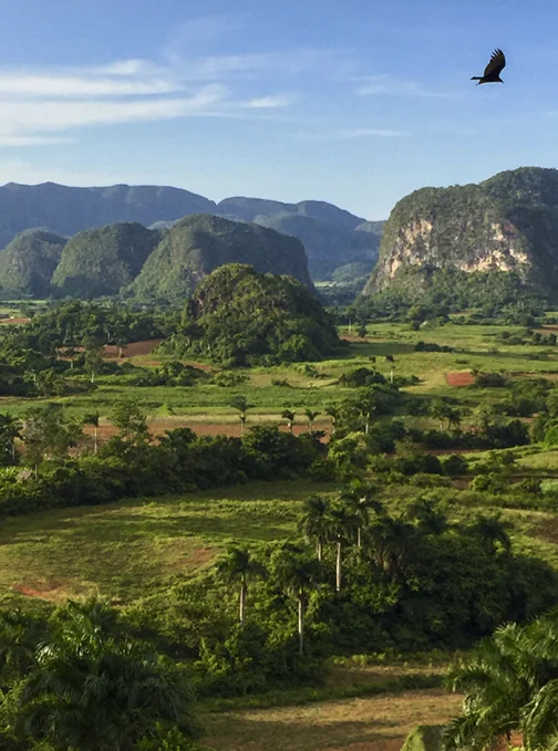 Vinales Valley