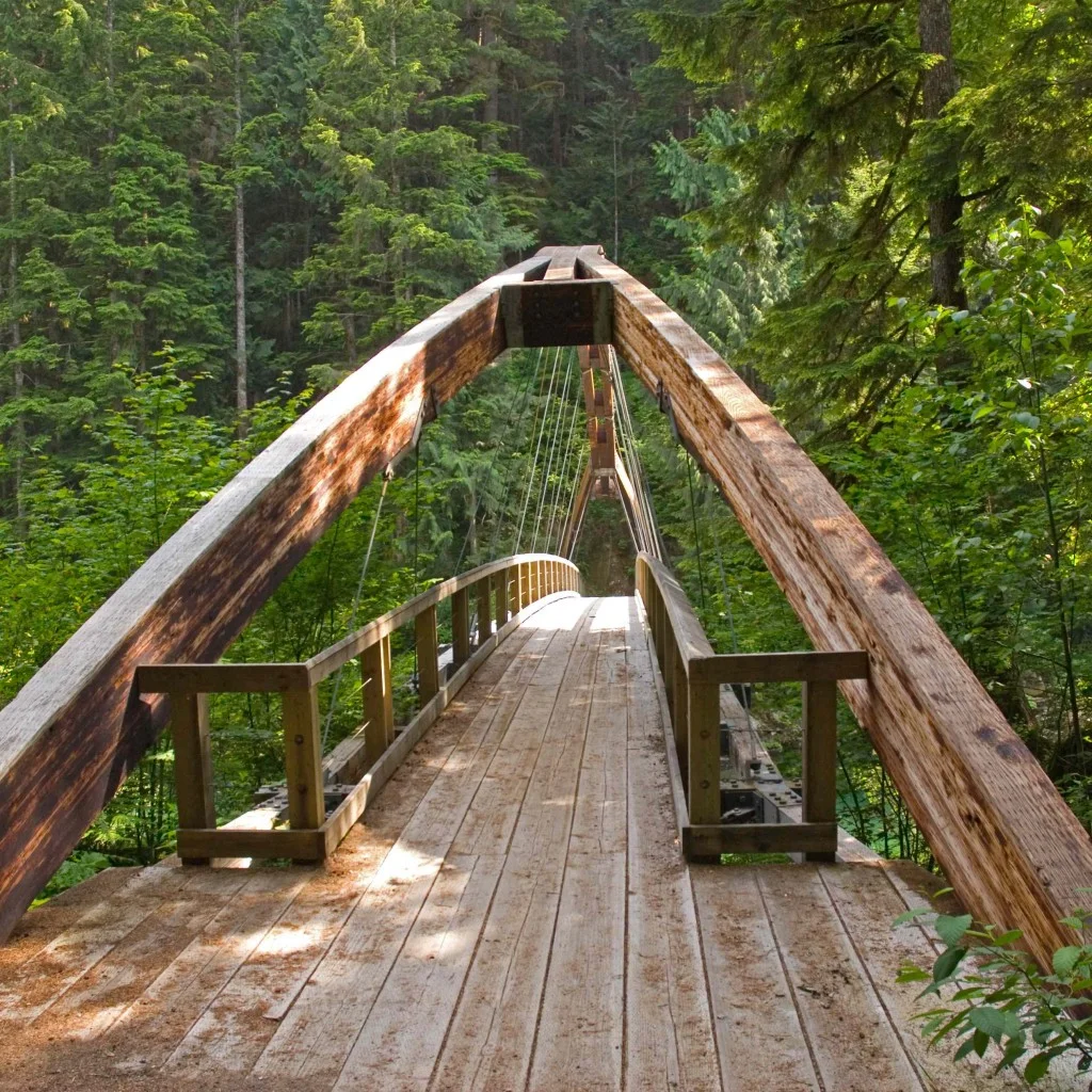 middle fork river.jpg