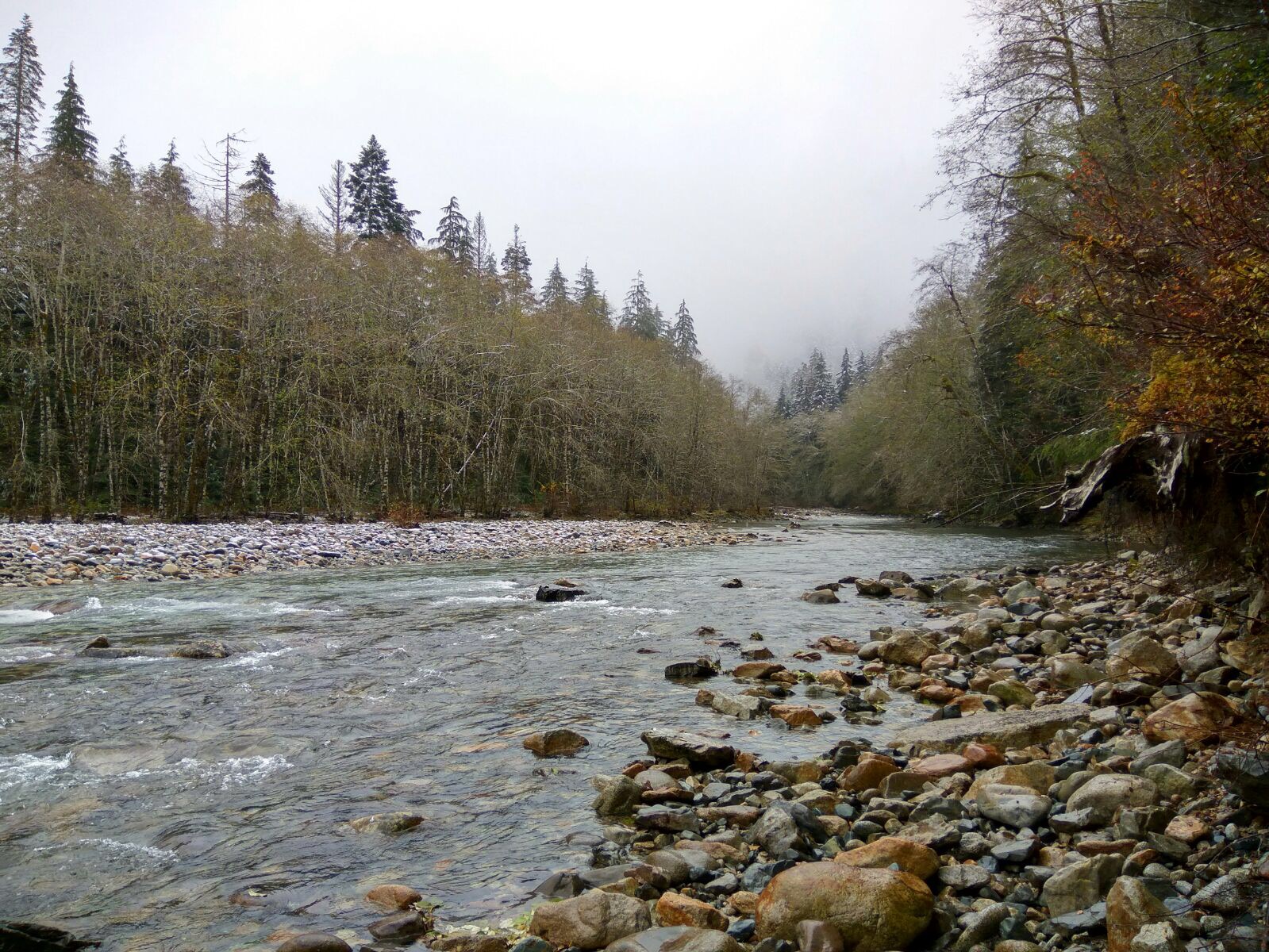 Middle Fork.JPG