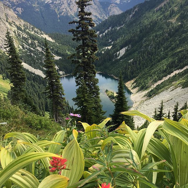 The mountains are delightful on the Maple Pass Loop. Sadly, our scouting trip determined this stunning hike is just too far a drive from Seattle to add it to our list. But we highly recommend it!
.
.
.
.
.
#beadventuresome #pnw #visitseattle #hikingt
