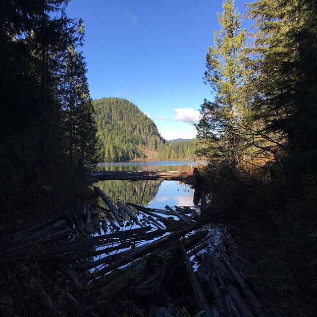 Our favorite fall/winter hike is Wallace Falls because we get it all...roaring waterfalls, tranquil lakes and magical moss forests. Consider joining us for your next #adventure.
.
.
.
.
@explorewashstate @visitseattle #hiking #hikingtrails #beadventu