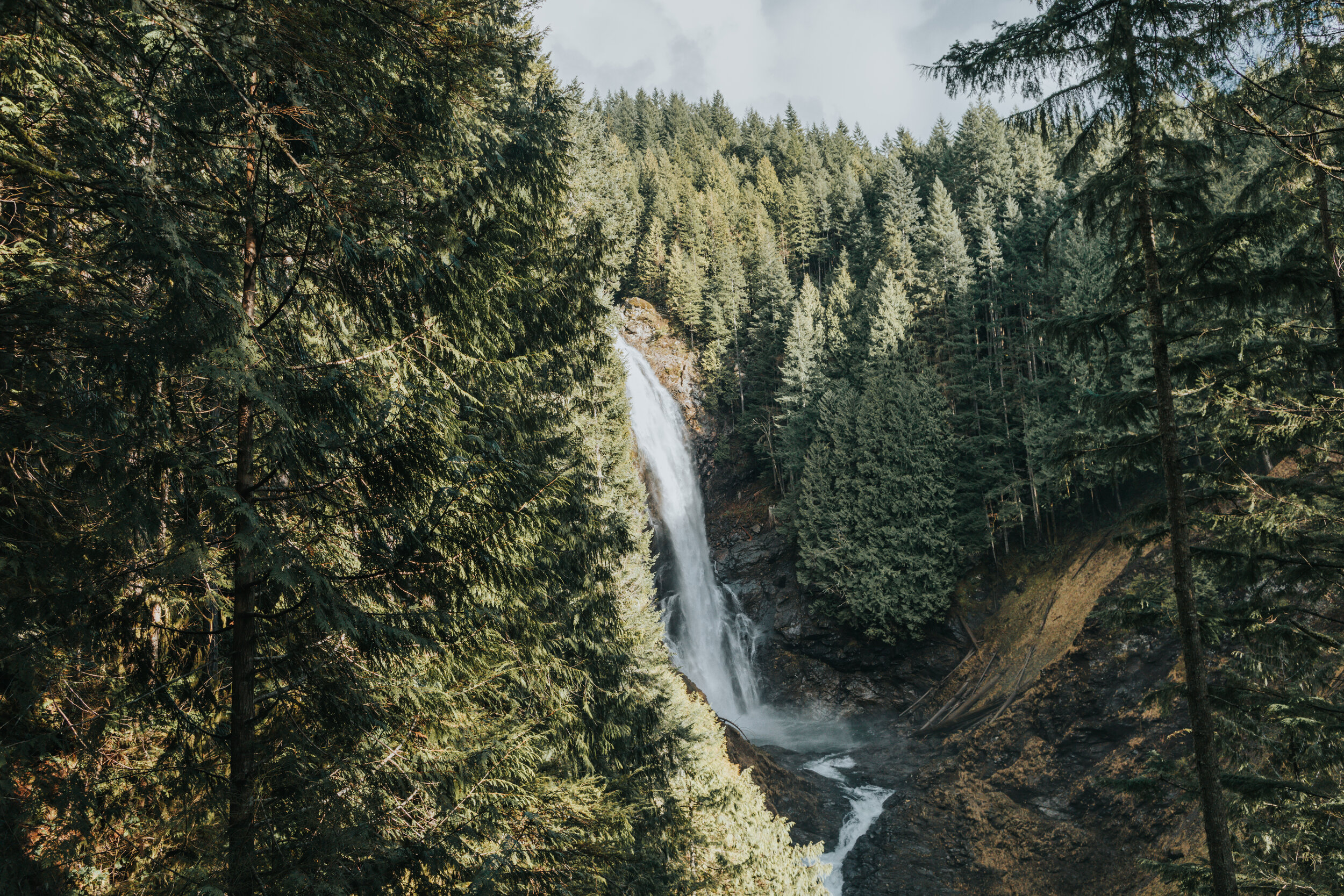 Rainforest and Waterfall Hike