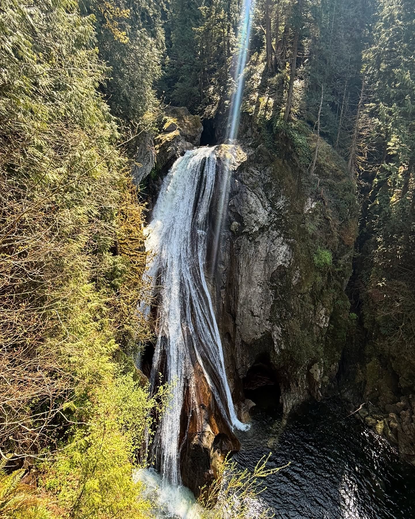 A little spring recon trip to Twin Falls at Olallie State Park. We love the subtle, delicate wildflowers along this route! We don&rsquo;t offer this hike on our regular schedule but we can craft this outing for your corporate/team work building activ