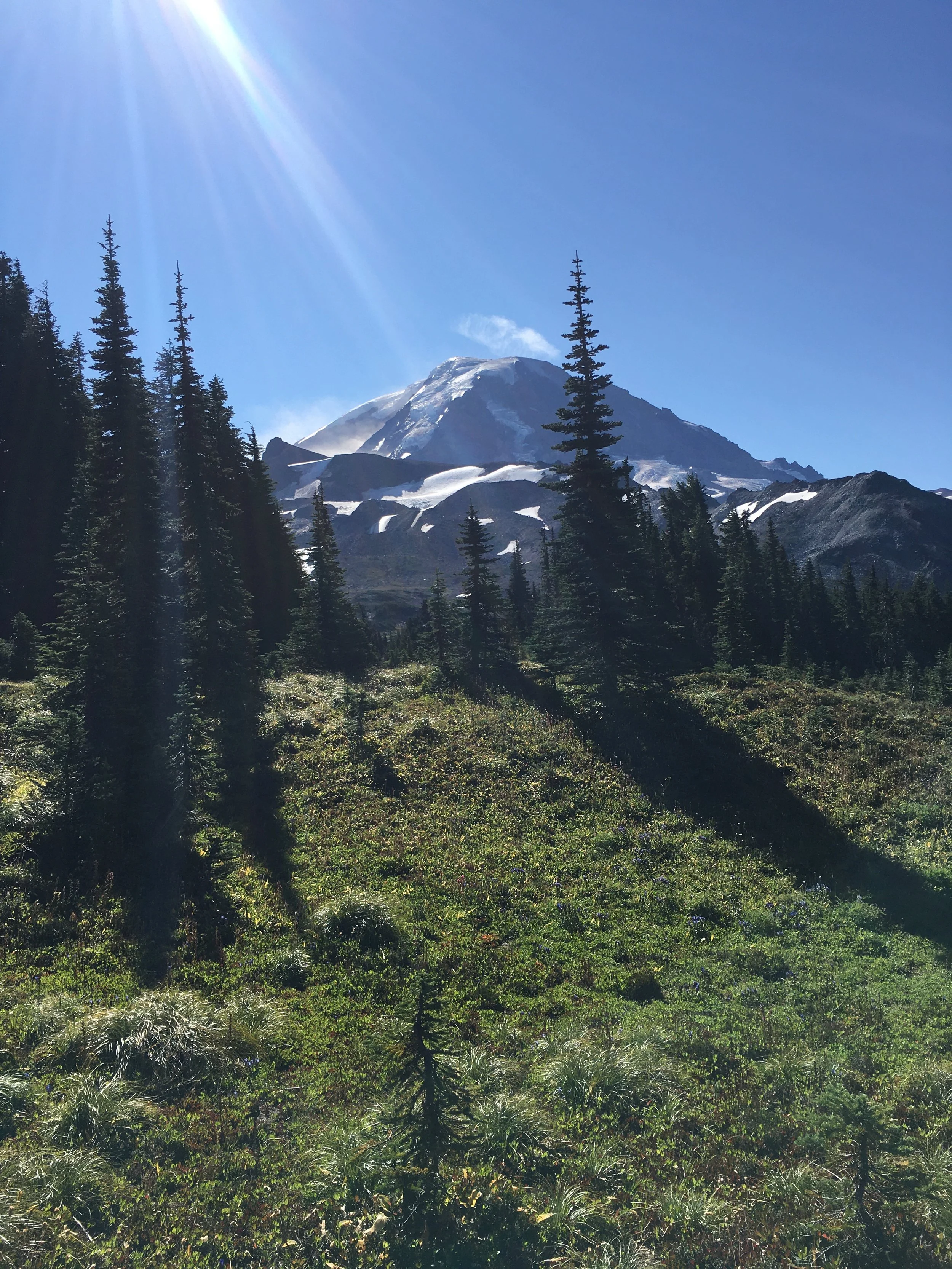 The Fairfax Bridge to Mount Rainier is Closed - What does it mean for access?