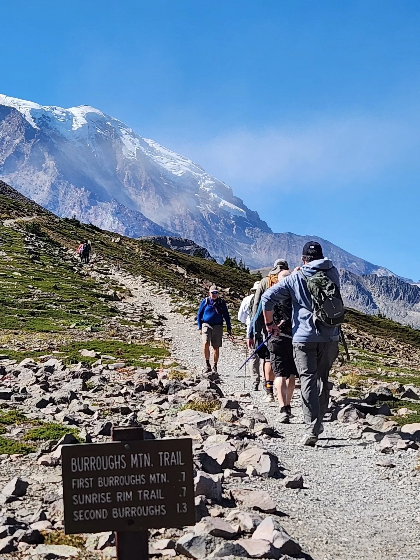 The season is winding down but we still have a couple dates open for hikes before September 30! 

The mountain has been good to us this year! Mountain goats, black bear sightings and stunning views have made nearly every outing one to remember. I thi