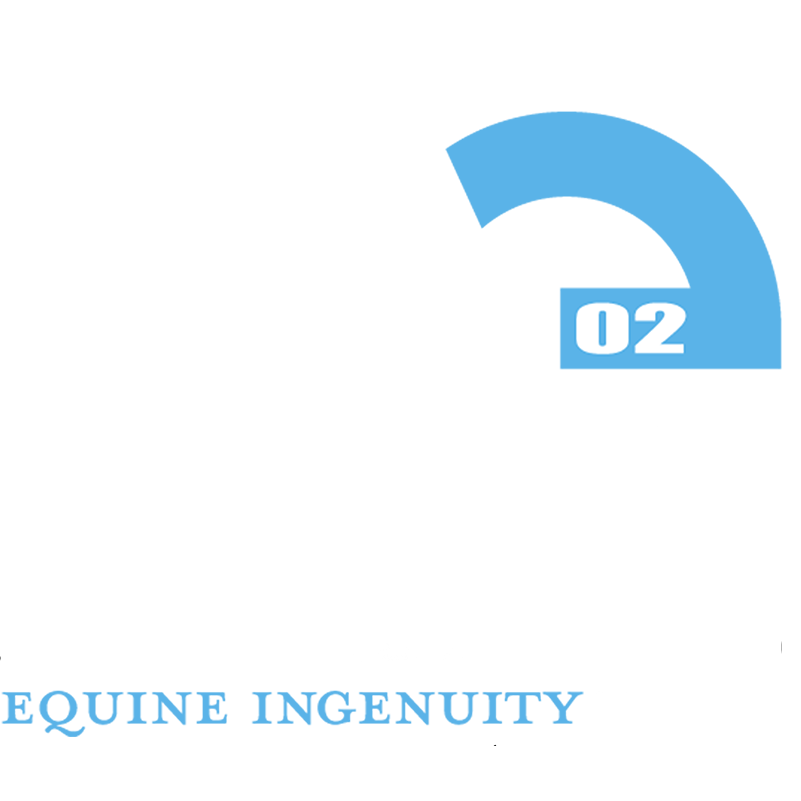American Equus Banner_white.png