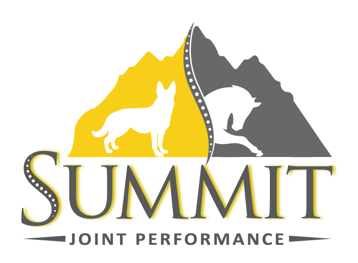 Summit Joint Performance.png