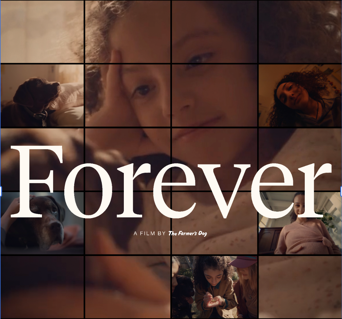 Screenshot 2026-01-19 at 4.55.50 PM.png