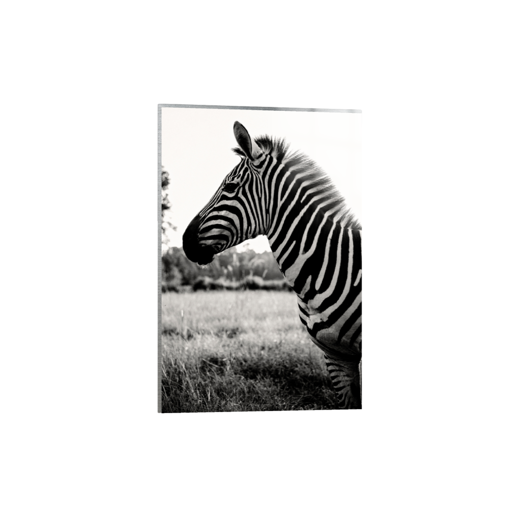 metalprint_rectangle2_3_106_0_3690_5535_0_false_ffffff_0_0.png