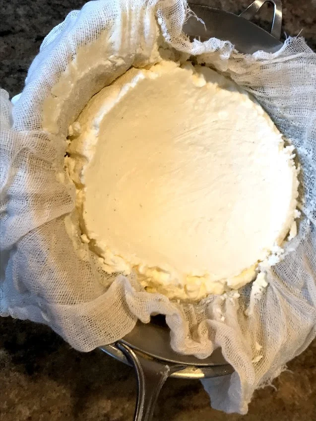 peach agro ricotta strainer.jpg