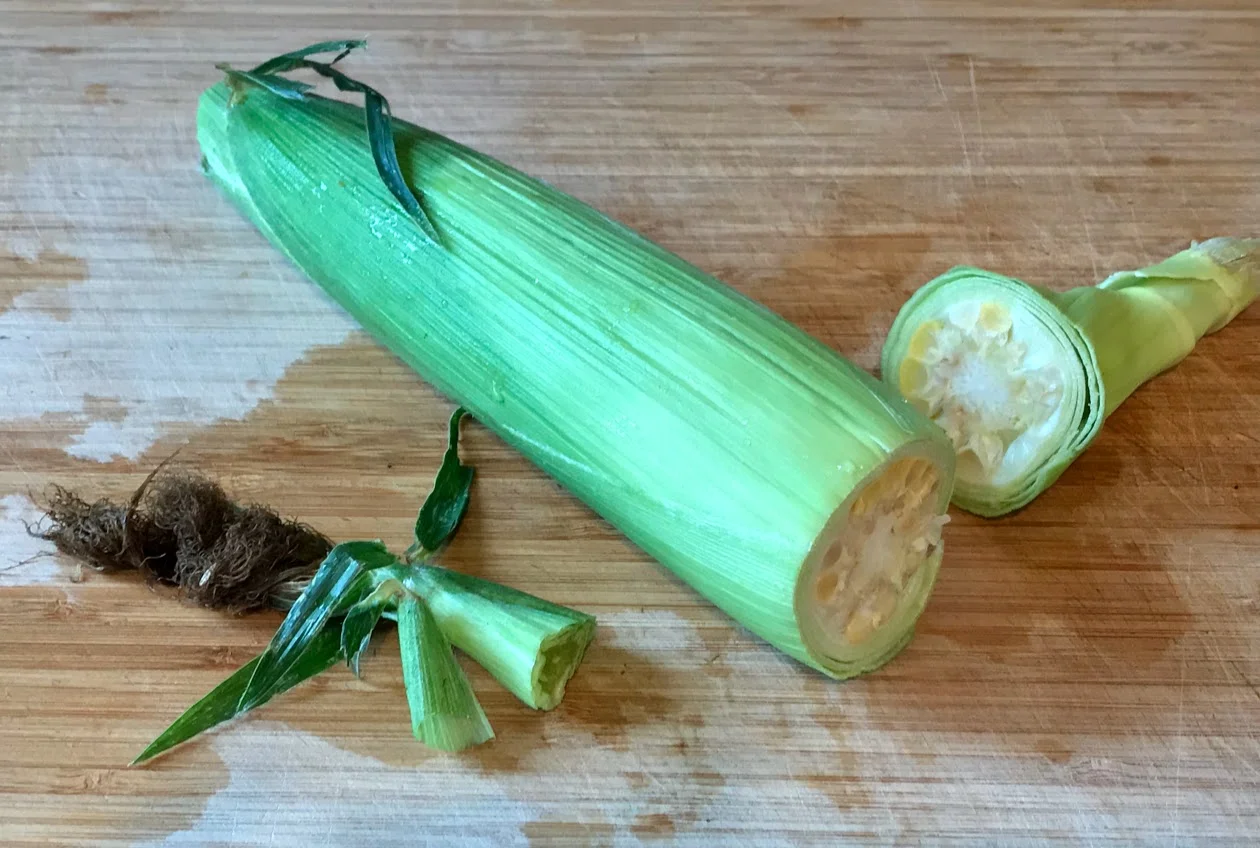new world cut corn cob.jpg
