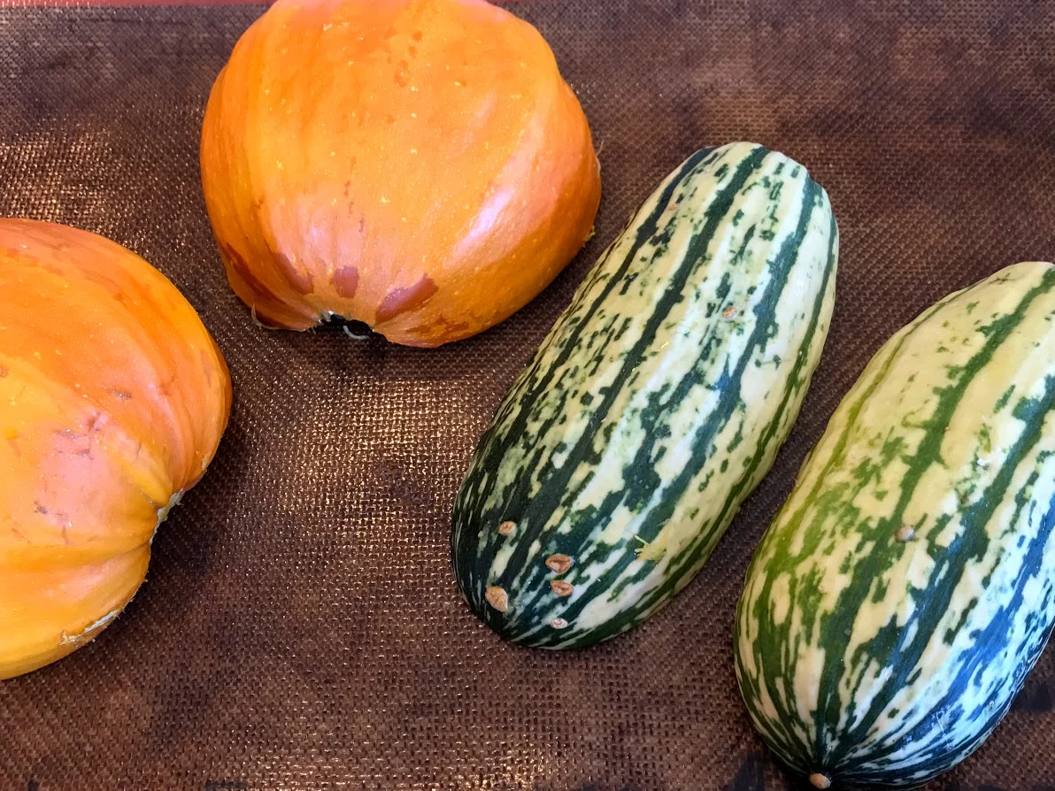 delicata squash on mat.jpg