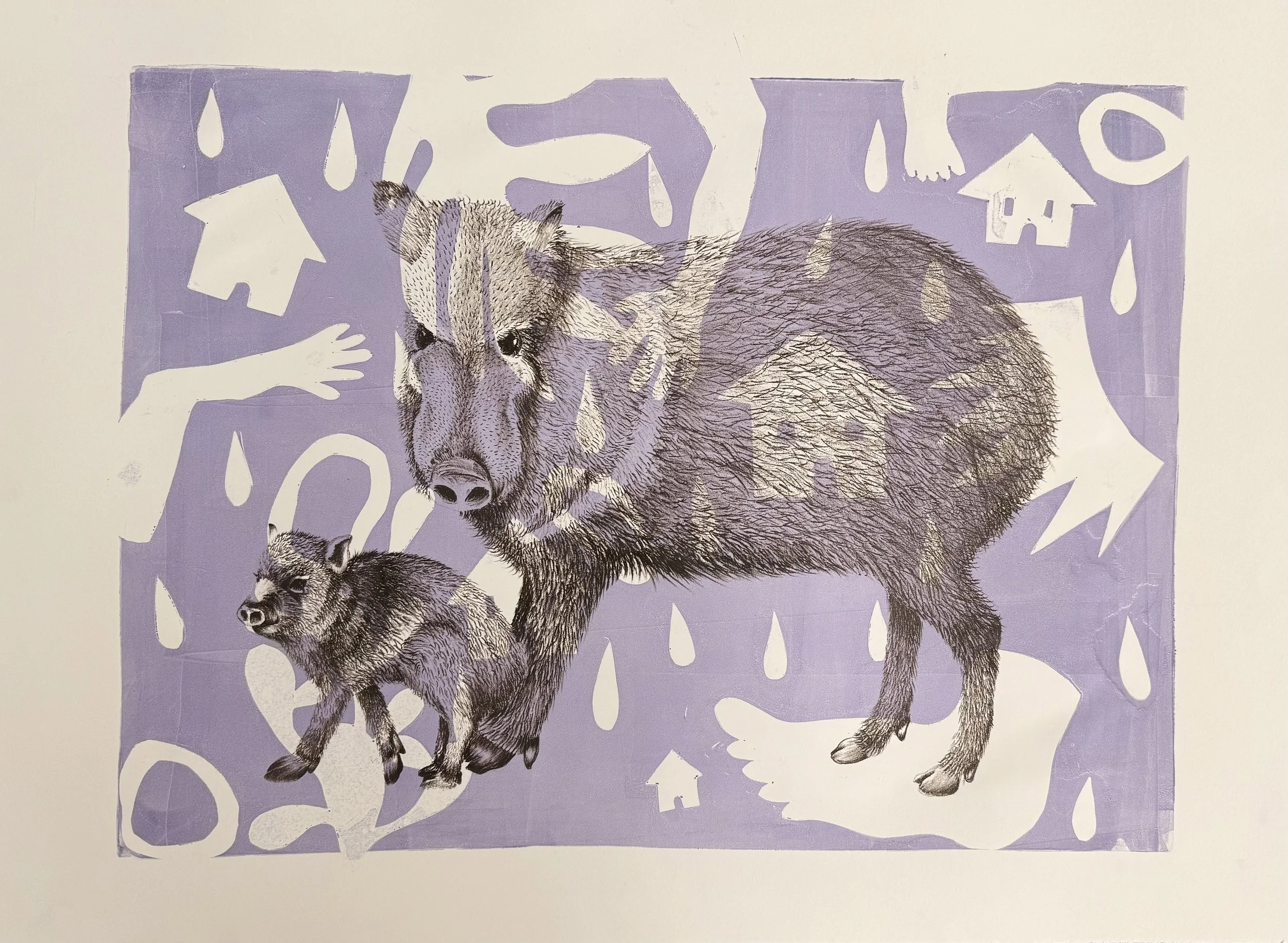 Austin-Javelina .jpg
