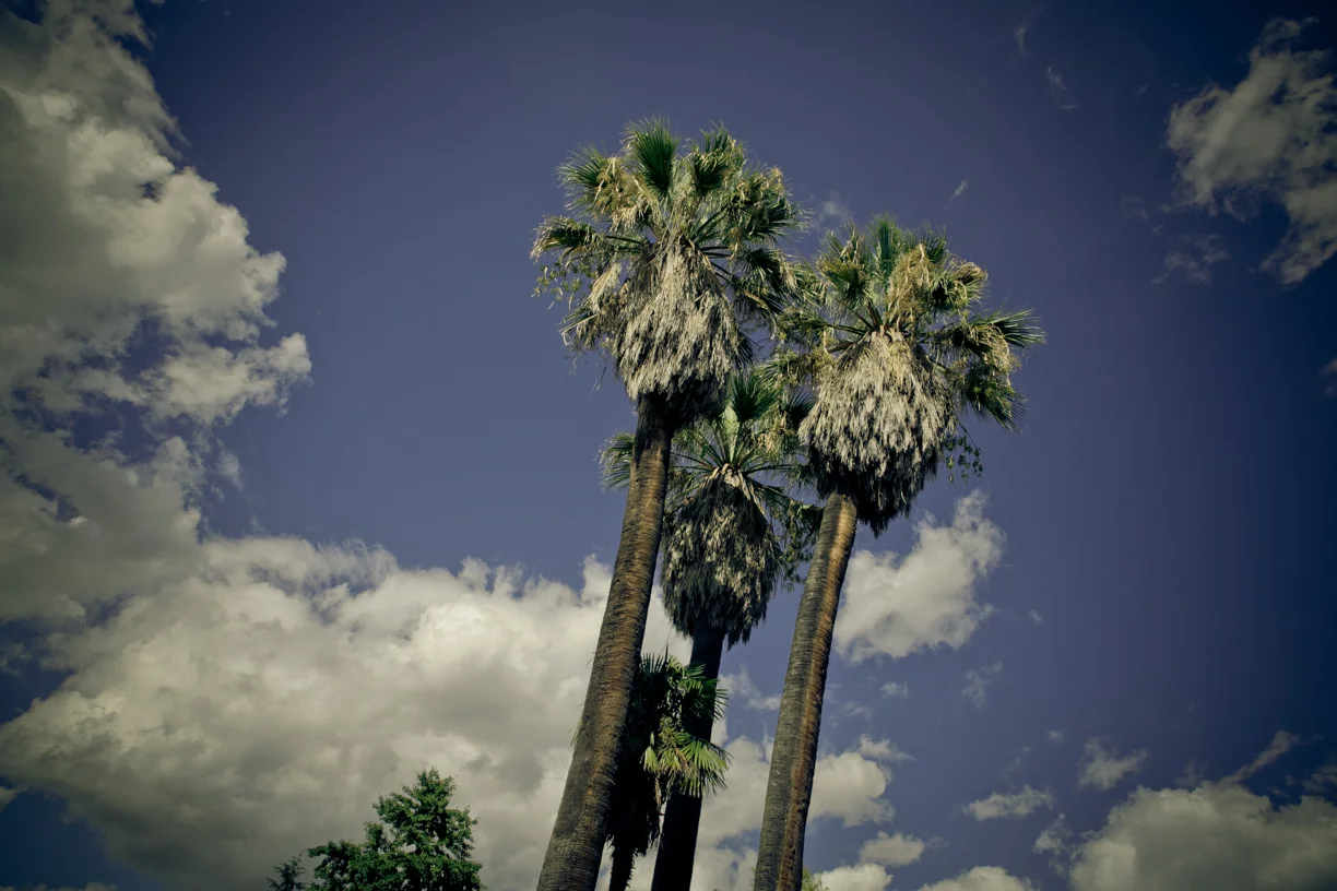 001-18.jpg