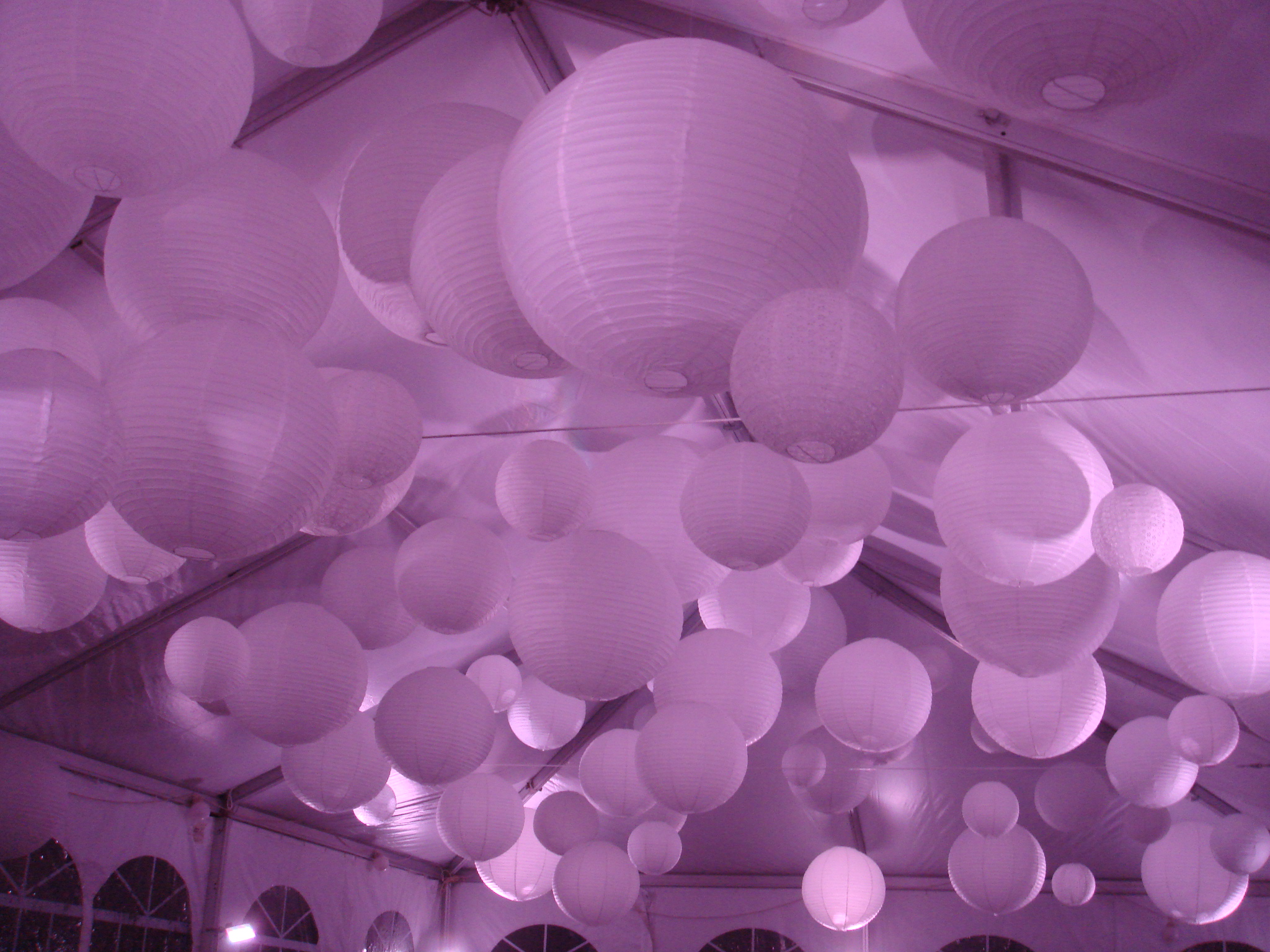 Lanterns-Violet.JPG