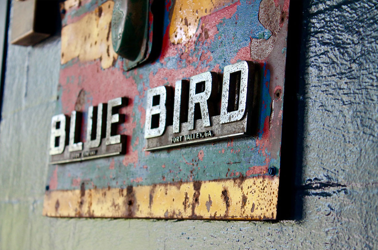 mbar_bluebird_2.jpg