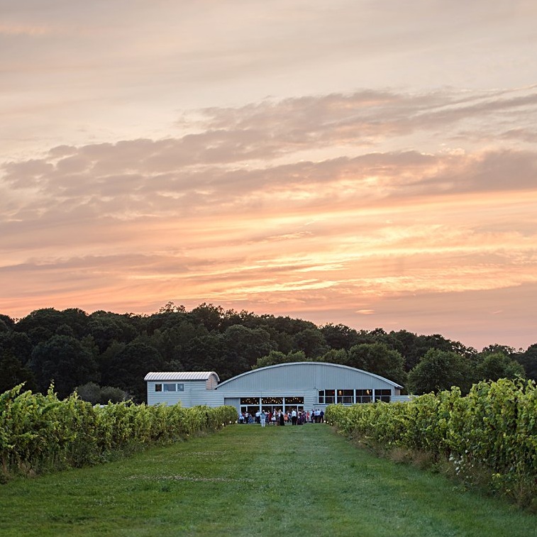 Putting Children First - A fun night out at Saltwater Farm Vineyard