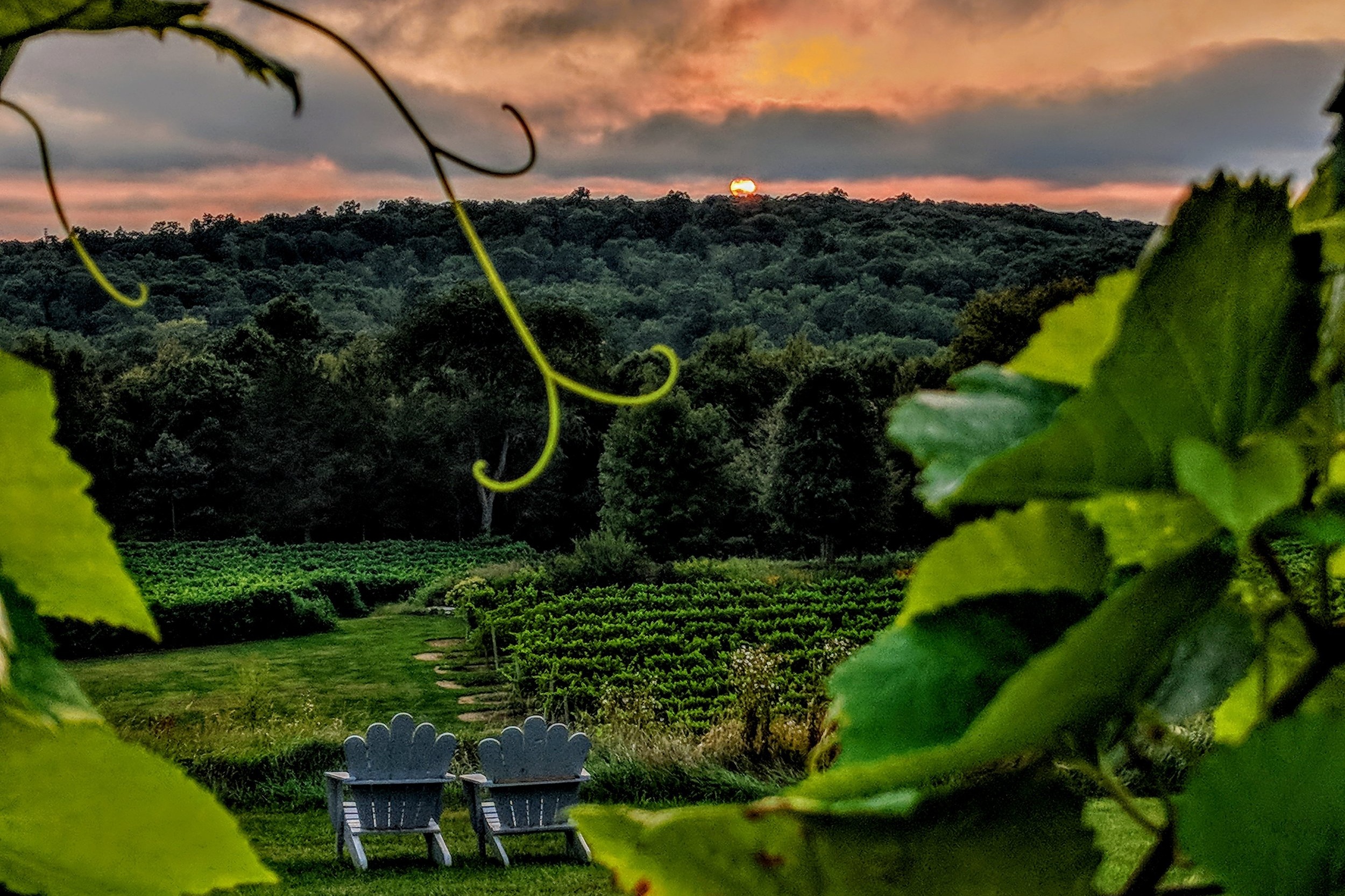 Preston Ridge Vineyard — My Mystic Wedding