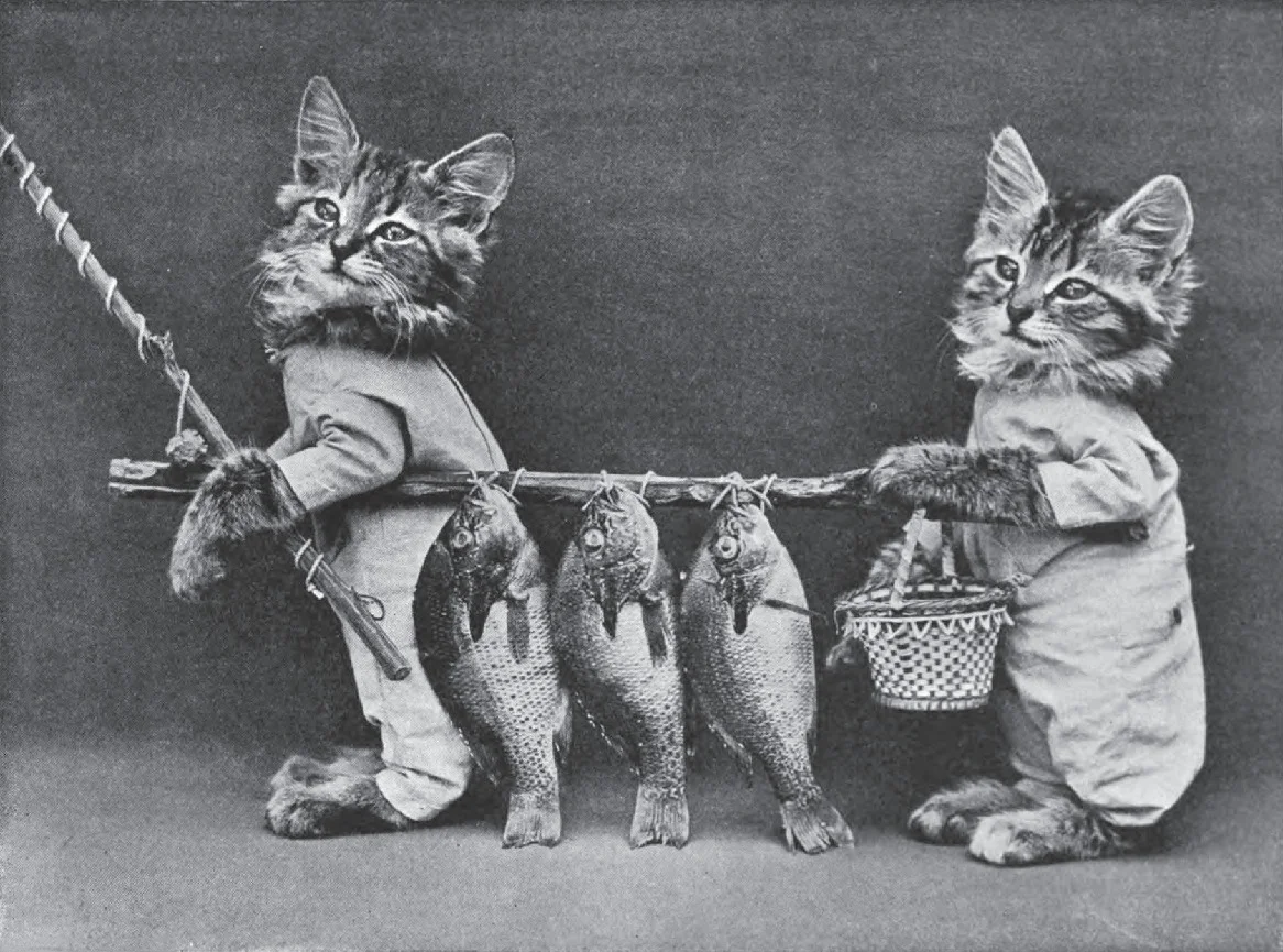Harry Whittier Frees: The Original LOLcat Inventor?