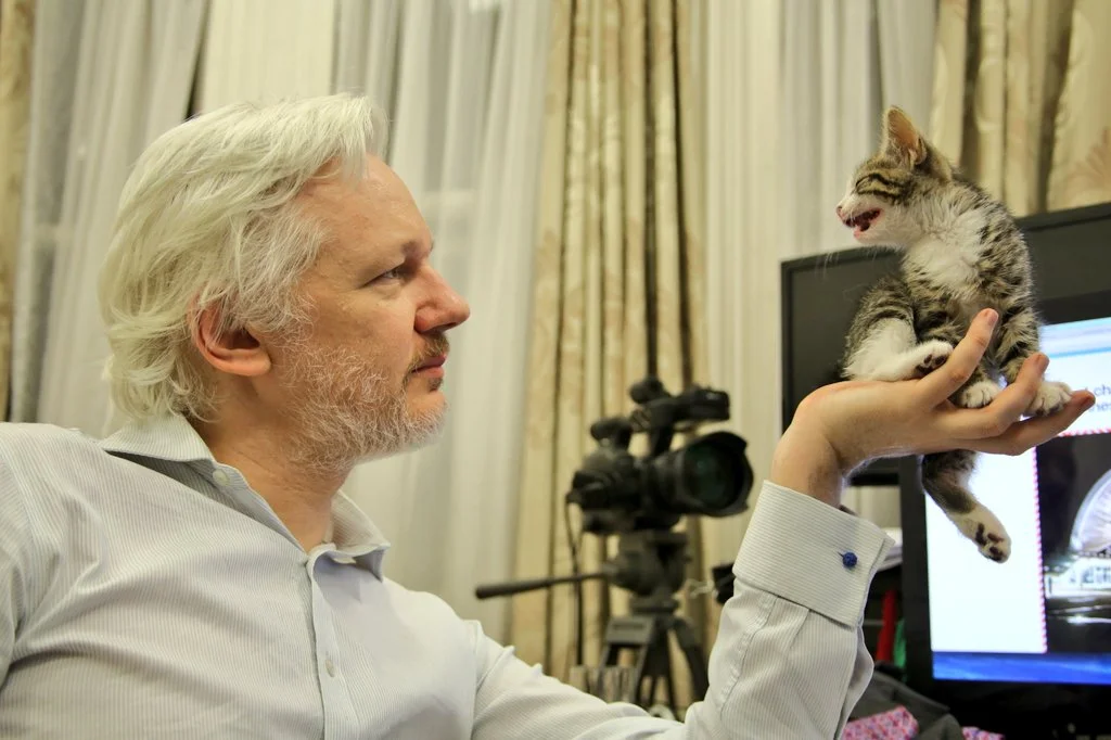 Big News Of The Week: Julian Assange Gets A Cat!