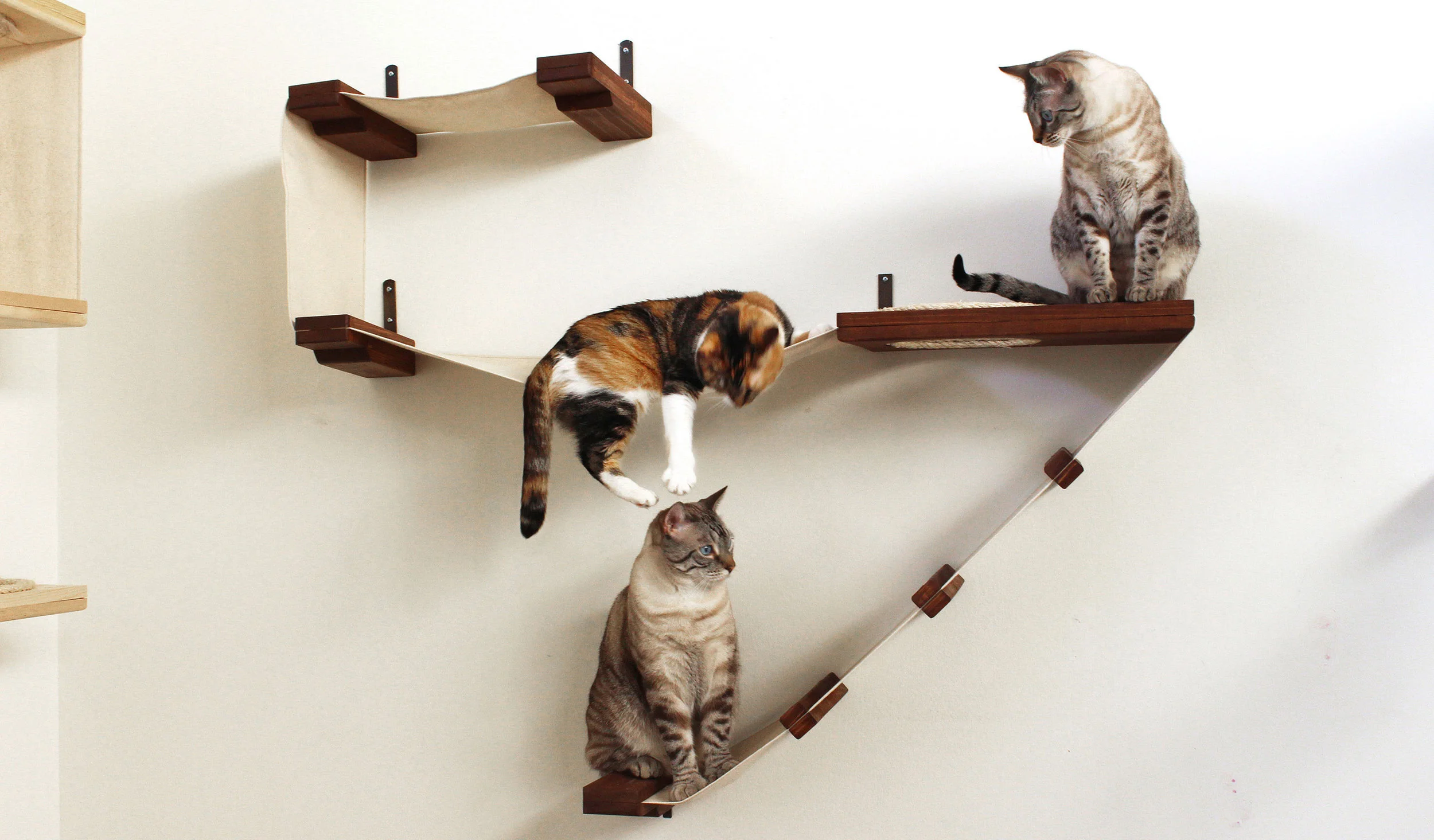 CatastrophiCreations: Fun Furniture For Your Kitties!