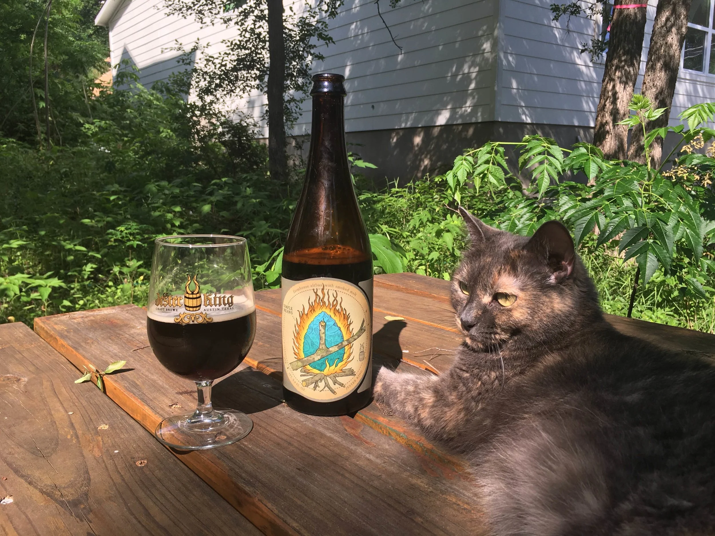 Craft Brew Cat Schools Us On Beer And The Art Of Being Adorable