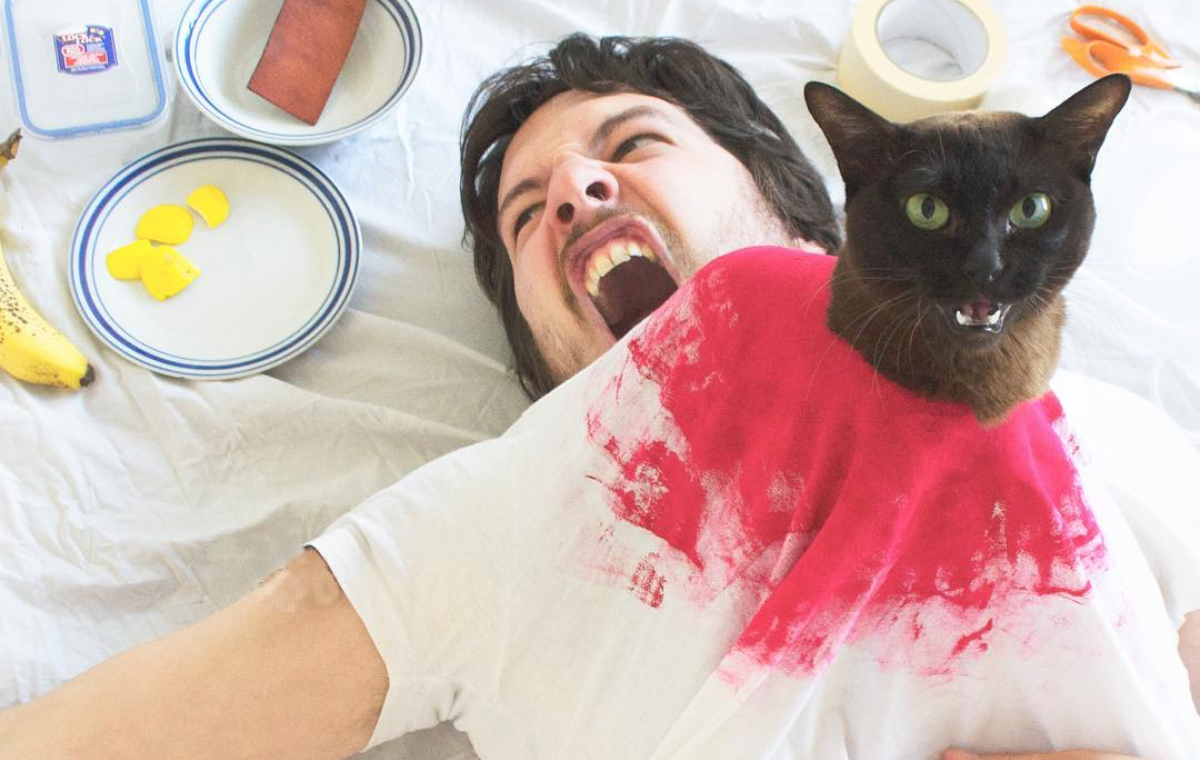 MovieCats Recreates Famous Movie Scenes - With Cats!