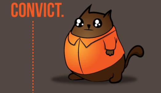 Friday, Dec. 11, 2015: #CatsInTheMews Weekly Roundup