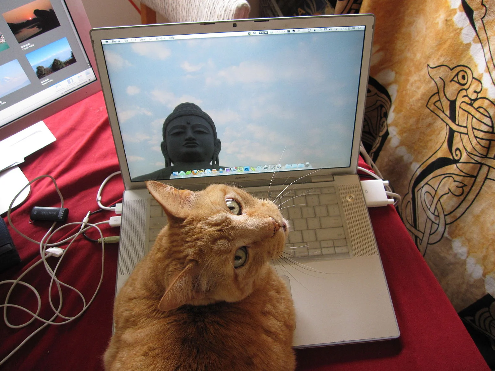 The Pet Community, A Social Networking Platform For Pets