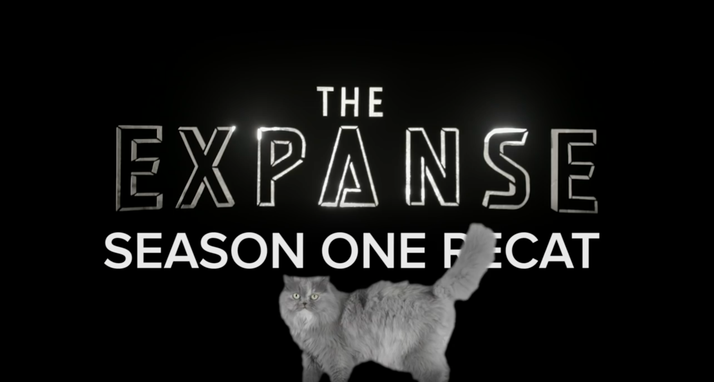 'The Expanse' TV Show Recaps Season 1 With Cats