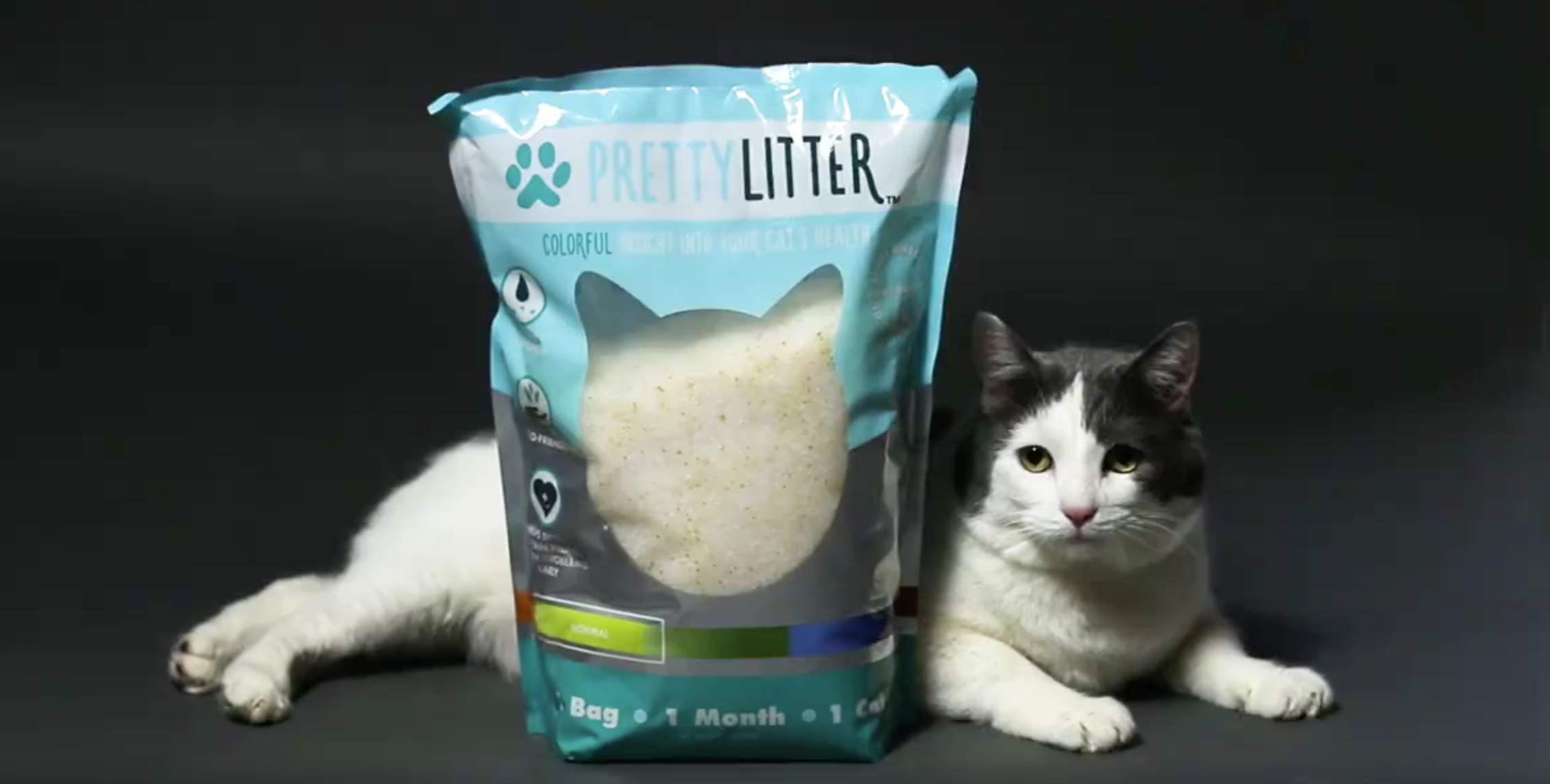 pretty kitty litter