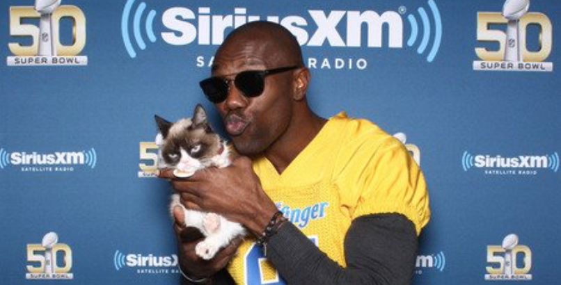 Friday, Feb. 5, 2016: #CatsInTheMews Weekly Roundup