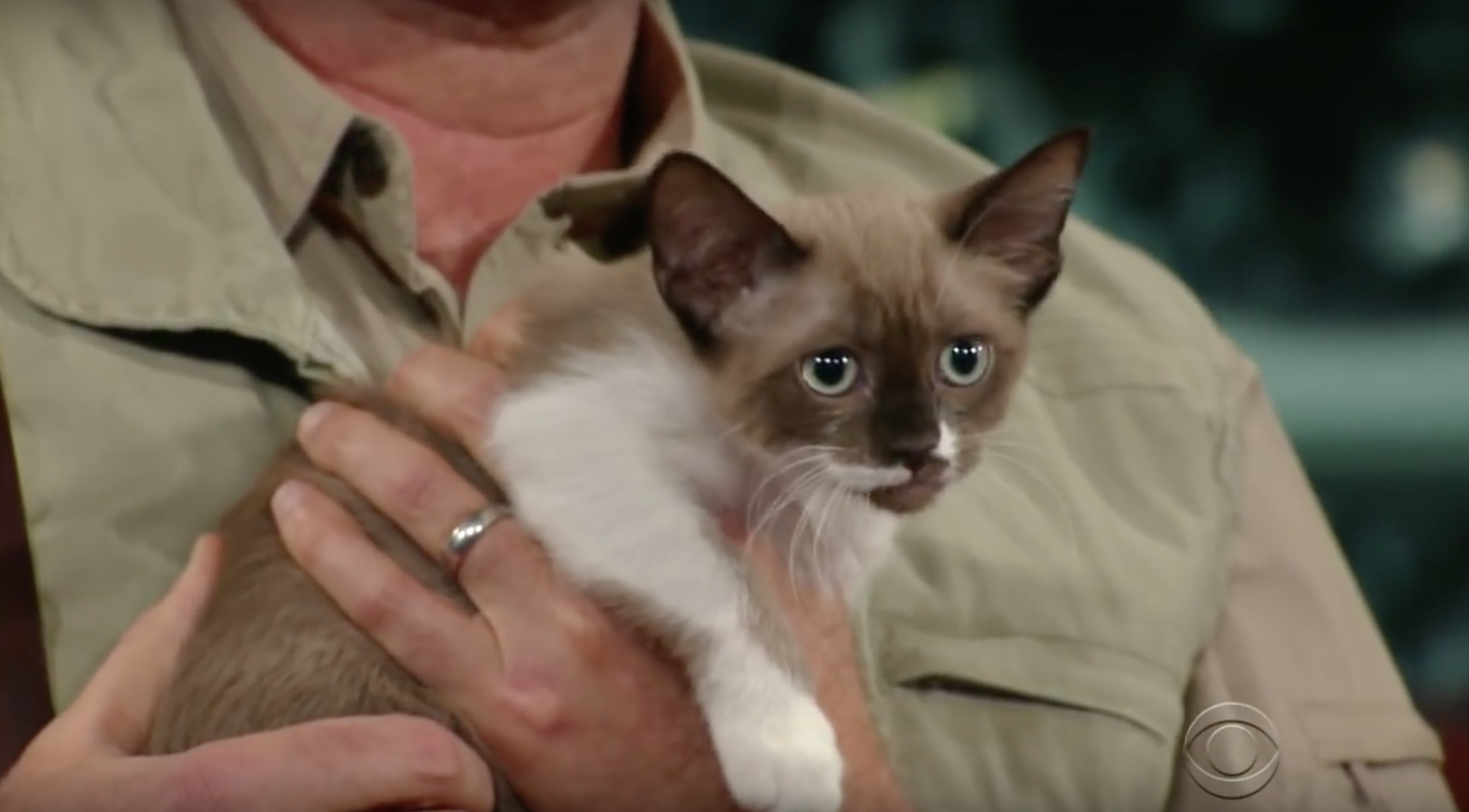 This Video Of Will Ferrell With Various "Exotic Animals" Will Make Your Day